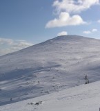 Palkaskero I * 544 x 600 * (47KB)